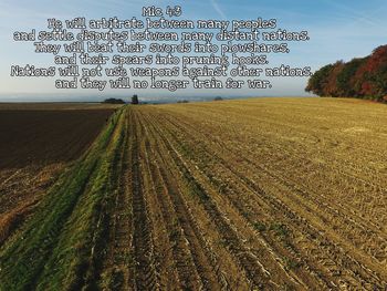 agriculture