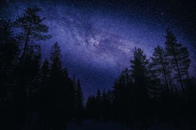 Low angle view of silhouette trees against sky at night