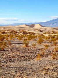 Scenic view of desert against sky
