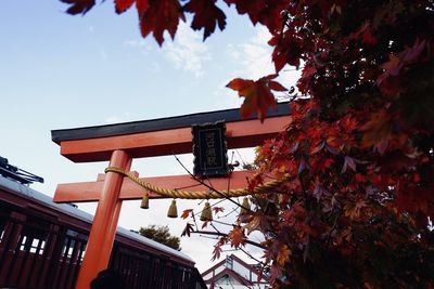 Low angle view of red and trees against sky during autumn