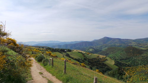 Scenic view of landscape against sky