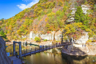Bridge over river amidst trees during autumn