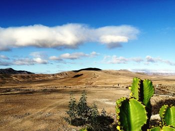 Scenic view of desert against sky