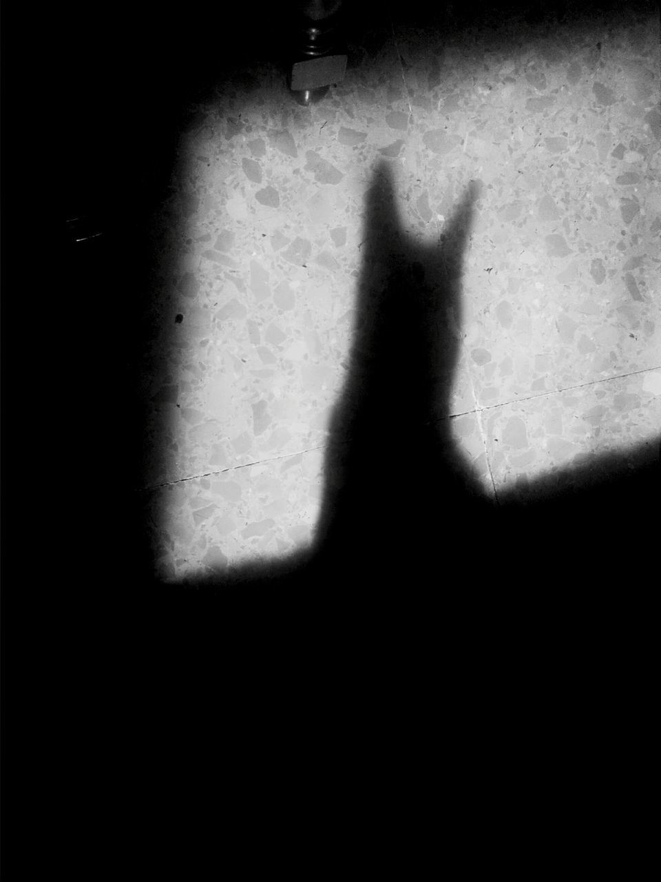 shadow, indoors, pets, domestic animals, domestic cat, silhouette, low section, cat, sunlight, unrecognizable person, one animal, person, mammal, lifestyles, relaxation, high angle view, focus on shadow