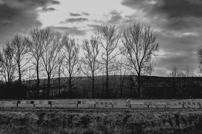 Bare trees on field against sky