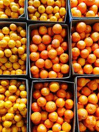 Full frame shot of oranges for sale at market stall
