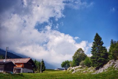 Houses and trees against sky