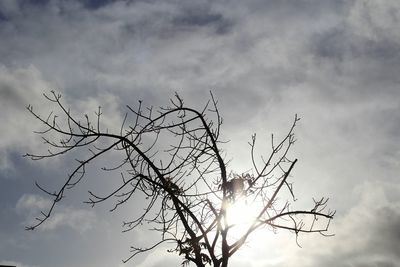 Low angle view of silhouette bare tree against sky