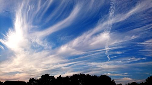 Low angle view of silhouette trees against sky