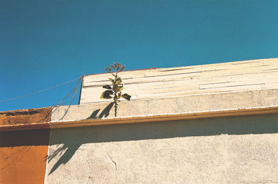 Low angle view of built structure