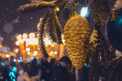 Low angle view of illuminated trees at night