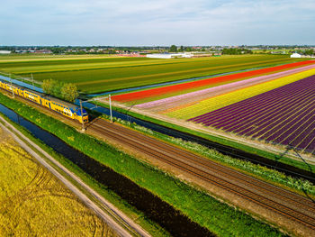 Scenic view of agricultural field