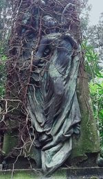 Close-up of old statue against trees