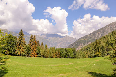 Scenic view of landscape against sky