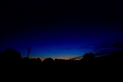 Silhouette trees at sunset