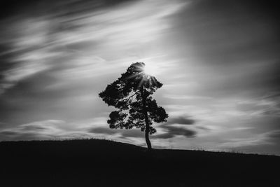 Silhouette tree on field against sky