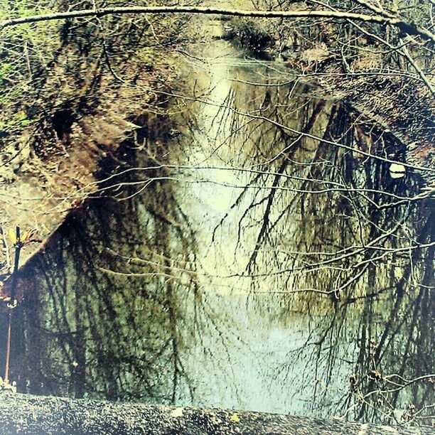 water, reflection, tree, puddle, bare tree, branch, built structure, lake, architecture, nature, day, tranquility, river, outdoors, high angle view, standing water, no people, canal, building exterior, old