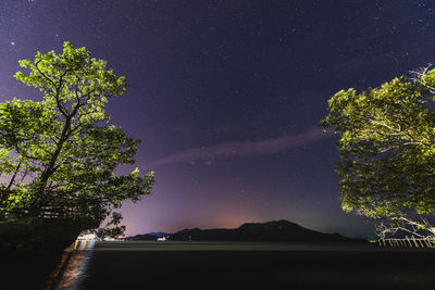 Scenic view of tree against sky at night