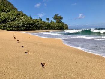 Scenic view of beach against sky