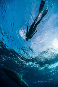Low angle view of man scuba diving in sea