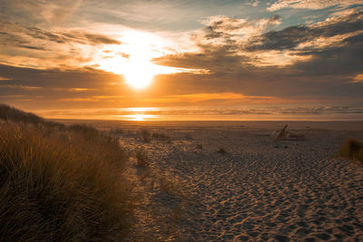 Scenic view of beach against sky during sunset