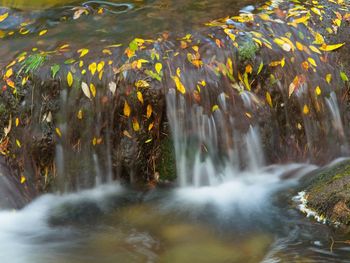 Close-up of waterfall in forest