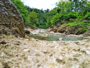 Surface level of river flowing through rocks in forest