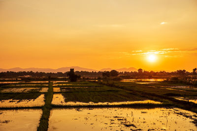 Scenic view of field against sky during sunset