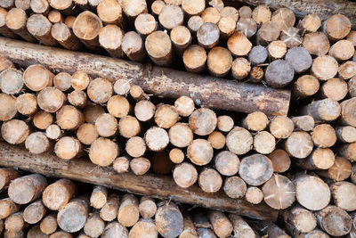 Full frame shot of logs