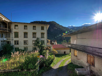 Plants and buildings against blue sky