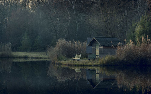 Reflection of trees in lake