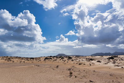 Scenic view of desert against sky