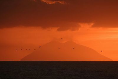 Silhouette birds flying over sea against stromboli volcano during sunset