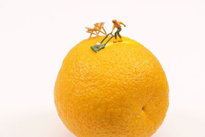 Close-up of orange fruit against white background