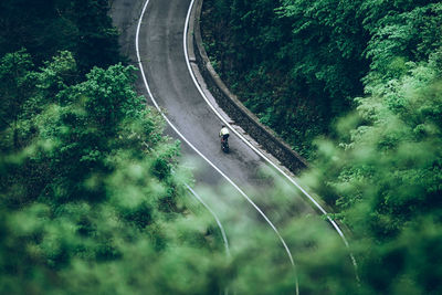 High angle view of boy cycling on road amidst trees in forest