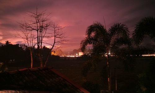 Silhouette trees against sky during sunset