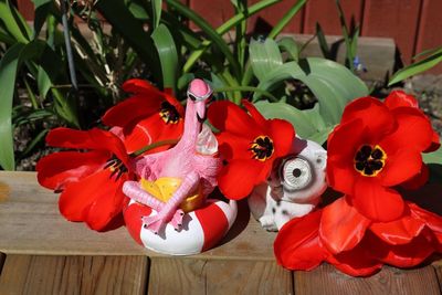 Close-up of red flowers on table