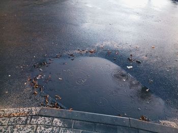 Scenic view of water against sky