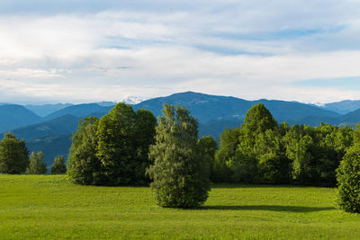 Scenic view of trees and mountains against sky