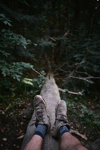 Low section of man wearing shoes while sitting on tree trunk in forest