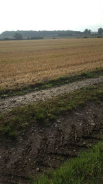 Scenic view of field against sky