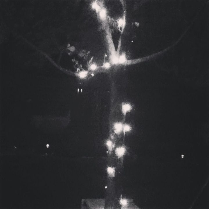 Beautiful Tree Lights