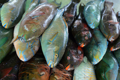 Close-up of food for sale