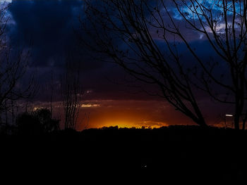 Silhouette trees against sky during sunset