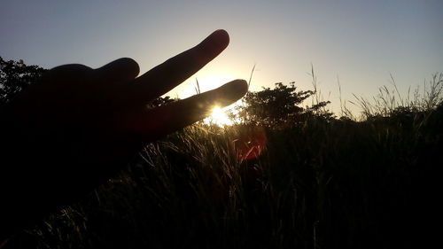 Close-up of hand holding sun at sunset