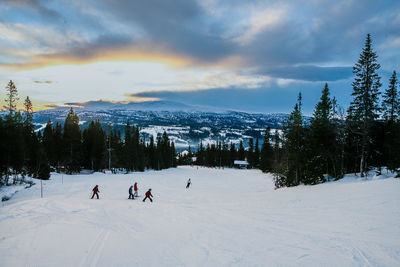 Snow covered landscape
