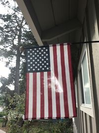 Close-up of flags against trees