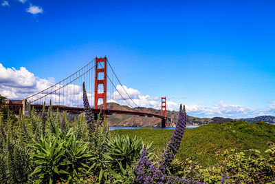 View of suspension bridge against cloudy sky