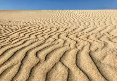 Sand dune in desert against sky