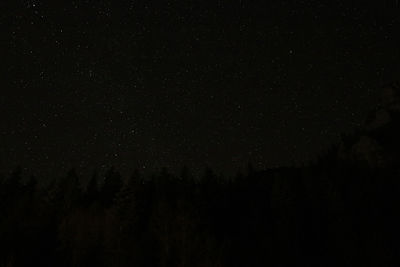 Low angle view of silhouette trees against sky at night